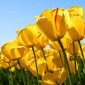 Meet your Posher, Paola